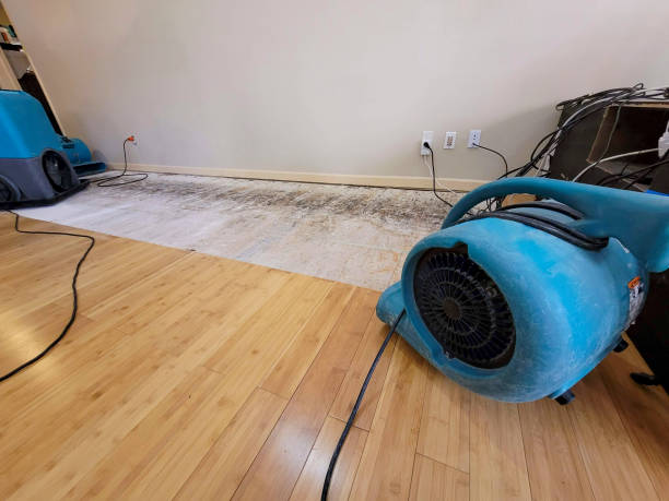 Professional Structural Drying technician working in Ashland, OH